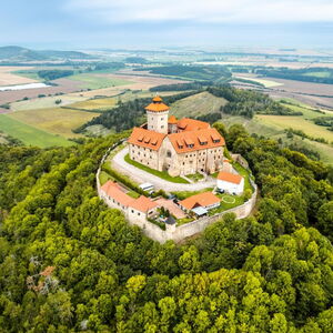 Die Wachsenburg aus der Vogelperspektive
