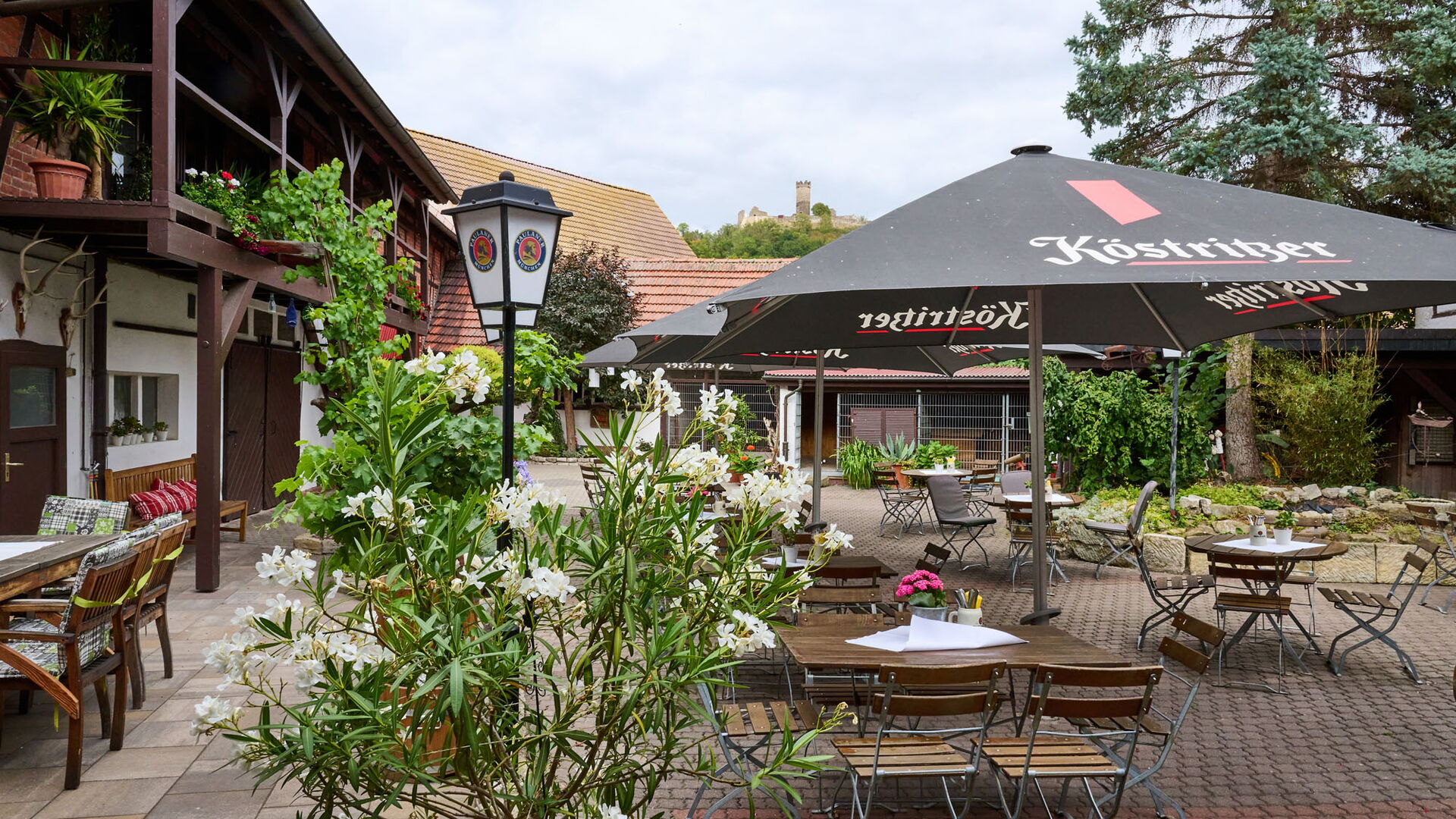 Biergarten im Weißen Roß in Mühlberg